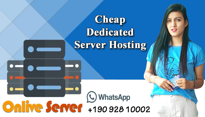 Norway Dedicated Server – Is it the Right Choice for your Business?